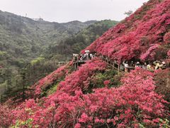 -木兰云雾山