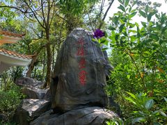 -广州市流溪河国家森林公园