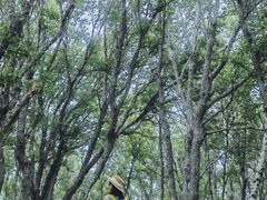 -白草畔自然风景区