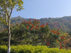 -火炉山森林公园