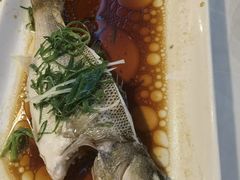 -云中小雅