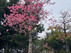 -厦门园林博览苑