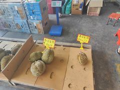 -海吉星市场