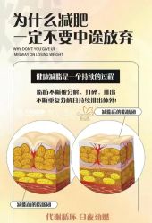 -Fundi张玉珊修身堂·indiba·BTL科技瘦身