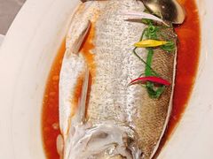 -醉庐·新上海菜(南京西路店)