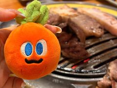 -探·韩都烤肉·17年韩式烤肉店(远景路店)