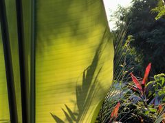 -西双版纳傣族园