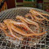 没有任何一个理由不来这家