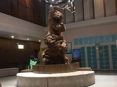 -河北霸州茗汤日月潭温泉