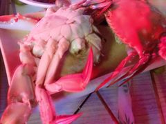 -兆辉木炭海鲜烧烤·海鲜小炒