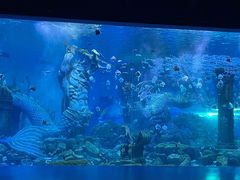-波塞冬海底世界