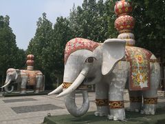 -永定河休闲森林公园