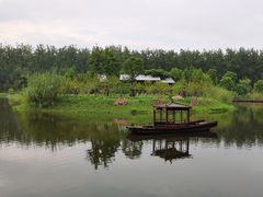 -合肥滨湖国家森林公园