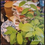 “您还是老样子么～”