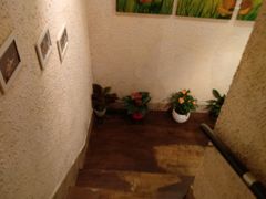 -绝城芋儿鸡(犀浦旗舰店)