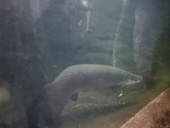 -青青世界