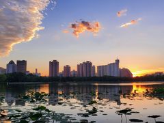 -莲花池公园