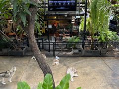 -TrueLove @ Neverland (Husky Cafe)