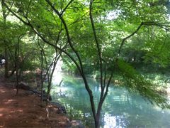 iphone_upload_pic-九溪烟树