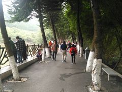 景点-滴水岩森林公园