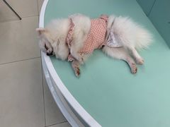 -怪兽屋·羊驼·猫咖·狗咖(俊华广场店)