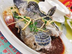 -浩海美食店(闸坡店)