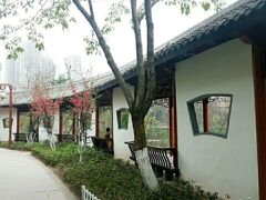-重庆彩云湖湿地公园