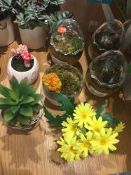 -孩子王童乐园(西安盛龙店)