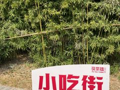 -茯茶镇