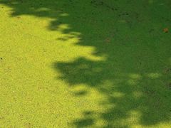-成都市活水公园