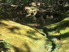-西芳寺(苔寺)