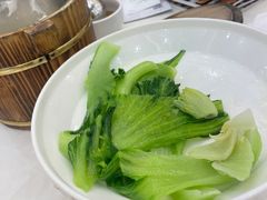 -坚记酒家·佛山老字号·顺德鱼生标准示范店