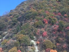 -少华山国家森林公园