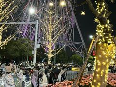 -南昌之星摩天轮