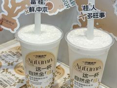 -一只酸奶牛(八一路店)