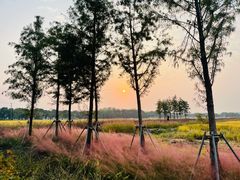 -祝甸砖窑文化馆