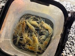 -DGE季风钓虾营地·团建·聚会