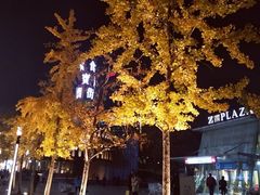 -乐乐姐超级土豆(中关村5号店)