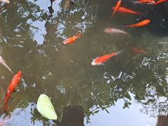-正阳书局(西四南大街店)