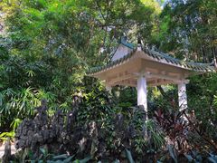 -广州兰圃
