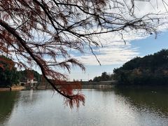 -青龙山国家森林公园