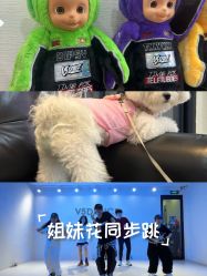 点击看大图 -北京V5舞蹈工作室