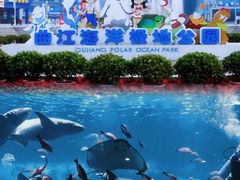 -西安曲江海洋极地公园