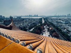 -黄鹤楼公园(黄鹤楼)