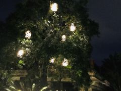 -厦门日月谷温泉渡假村