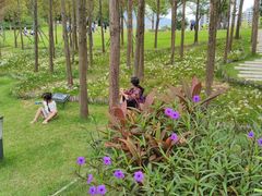 -牛岗山公园
