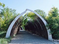 -天津东丽湖风景区