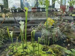 -国家植物园南园