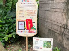 -广州神农草堂中医药博物馆
