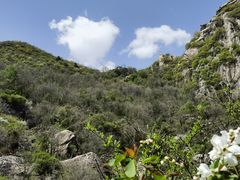 -秦岭终南山世界地质公园翠华山景区